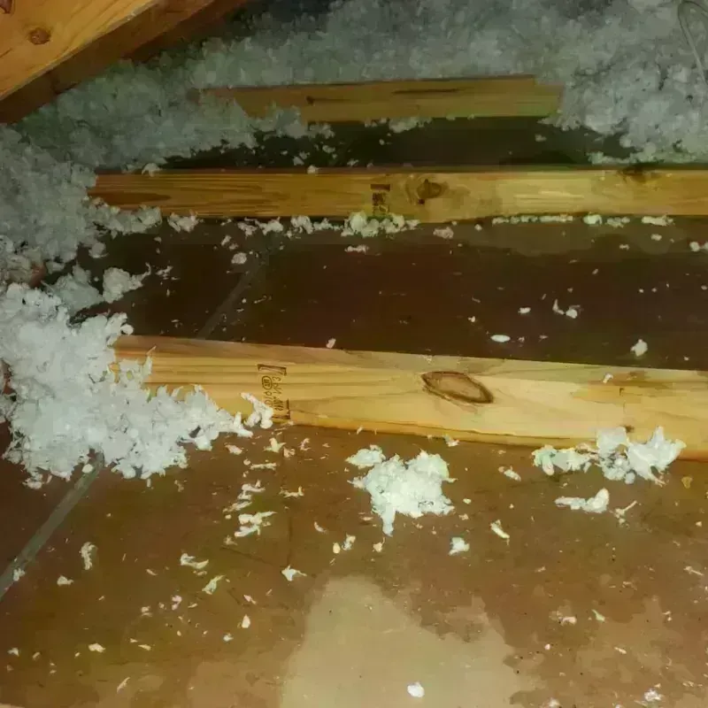 Attic Water Damage in North Bellport, NY